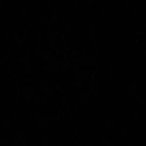 Meet your Posher, Katy